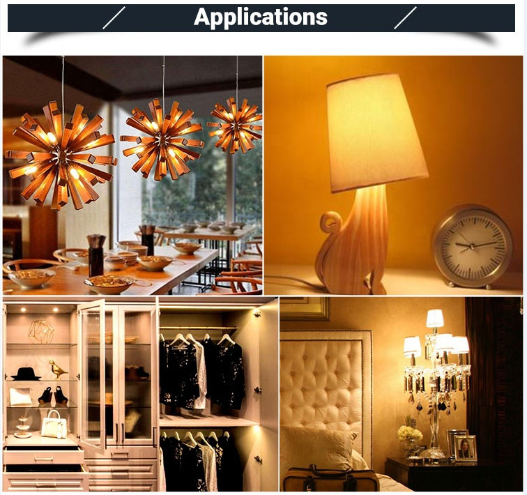 Amber Gold Edison LED Filament Bulbs 4W Antique T25 Decorative Tubular Bulbs