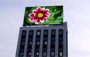 Wholesale Large and Transparent Outdoor Full Color LED Display Wall P10 from china suppliers