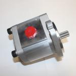 Portable Stainless Steel Electric 110V 220V Gear Pump for Food Grade Lube Oil