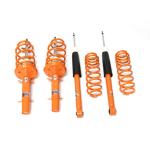 Customizable Comfort Sport Spring Car Suspension System VW POLO Series