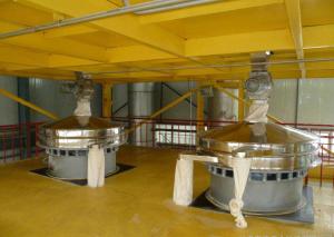 Wholesale Fresh Wet Noodle Machine Production Line / Food Processing Machinery Supplier from china suppliers