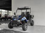 Gas Utility Vehicles 200EUX (EFI) Utv Automatic CTV With Reverse Flips Down 32