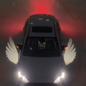 Wholesale White Angel Wing 12V Universal Car LED Rearview Mirror Door Welcome Light from china suppliers