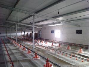 Wholesale 2.2KW Automatic Broiler Feeding System Pan Feeder Poultry For Farms from china suppliers