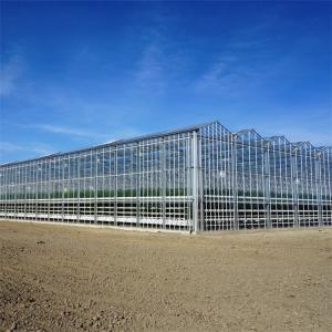 Wholesale Hydroponic System Vegetable Venlo Glass Greenhouse Fully Automated Ventilation from china suppliers