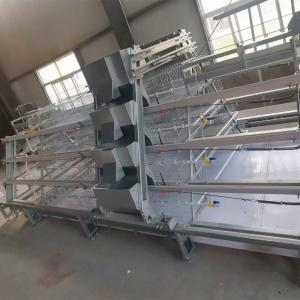 Wholesale Hot Galvanized A Type Broiler Baby Chick Cage For Automatic Rearing from china suppliers