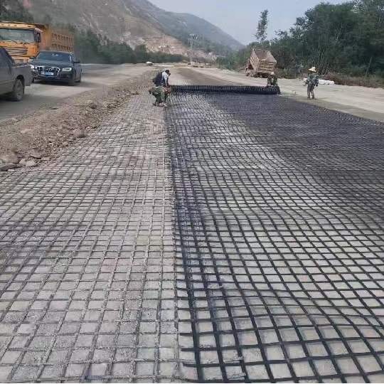 High Tensile Strength Steel Plastic Geogrid for Road and Railway Construction in Made