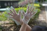 Food Handling Transparent 1.1g/Piece Disposable Hdpe Gloves