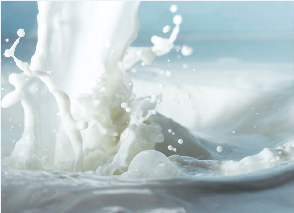 milk1.jpg