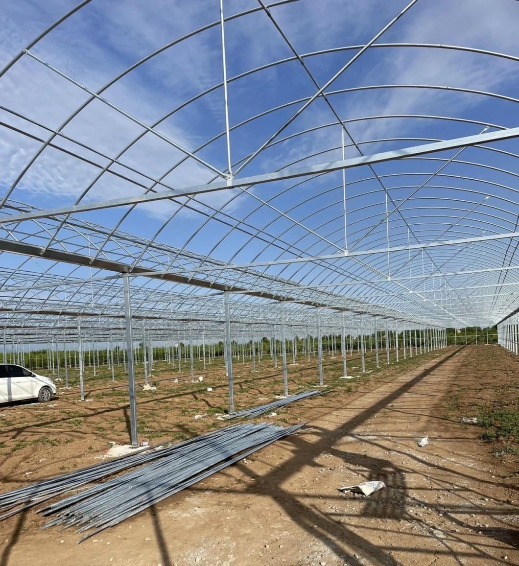 Commercial Greenhouse Poly Film Multi-Span Film Greenhouse for Planting Tomota, Cucumber, Lettuce