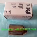 Hot Sell Cummins Qsm11 Engine Corrosion Head 4356679 3819767 3029354 3024678