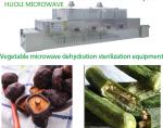 Continuous Belt Microwave Dryer Microwave Drying Of Nuts, soybean products