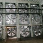 OEM Standard Poultry House Steel Structure With Sliding Windows