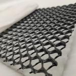 CE/ISO9001/ISO14001 Certified HDPE 3D Composite Drainage Geonet for Industrial