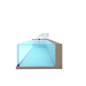 Wholesale Family Sports Above Ground Pool with Acrylic Panel Window and Stainless Steel Construction from china suppliers