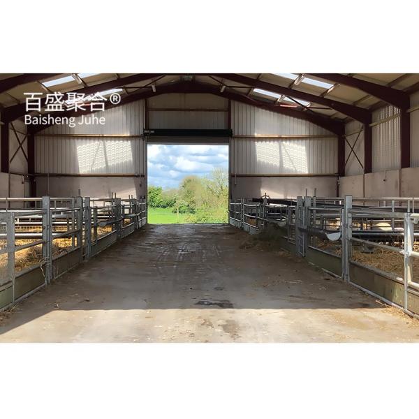 Steel Farming Wholesales Light Construction Building Steel Structure Slaughter