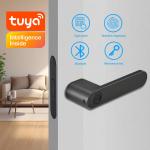 Apartment Smart Fingerprint Door Lock Intelligent Biometric Black Aviation
