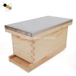 Queen Rearing 19mm Beekeeping Wooden House 5 Frames Bee Nuc Box
