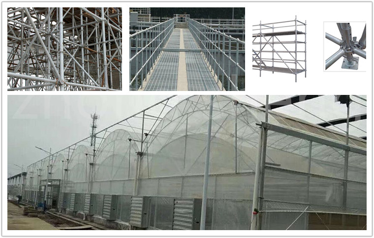 ROUND Section Shape Non-Alloy Galvanized Pipe Tube for Scaffolding Construction