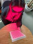 Full Body 660nm 850nm Red Near Infrared Led Light Therapy Panel for Home Use
