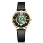 Pin Buckle Women Quartz Wrist Watch Leather Strap Shell Dial