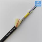 12 Cores Single Mode Spiral Armored Fiber Cable 7.5mm Black TPU Rodent Resistant