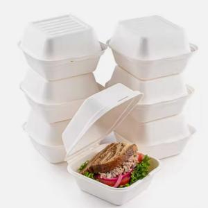 Wholesale Single Cell Bagasse Lunch Box Disposable Bagasse Food Container 8 Inch from china suppliers