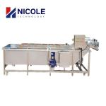 SS Automatic Fruit Vegetable Cleaning Machine Air Bubble 220V 415V 440V