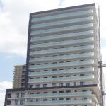 Colored Milky White Insulated Glass Curtain Wall High Rise Building Anti