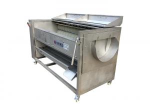 China Commercial Fish Processing Machine 304 Stainless Steel Sea Food Cleaning Equipment on sale