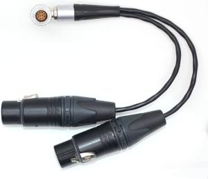 Wholesale Straight Input Camera Audio Cable 10 Pin To XLR 3 Pin Female ODM from china suppliers