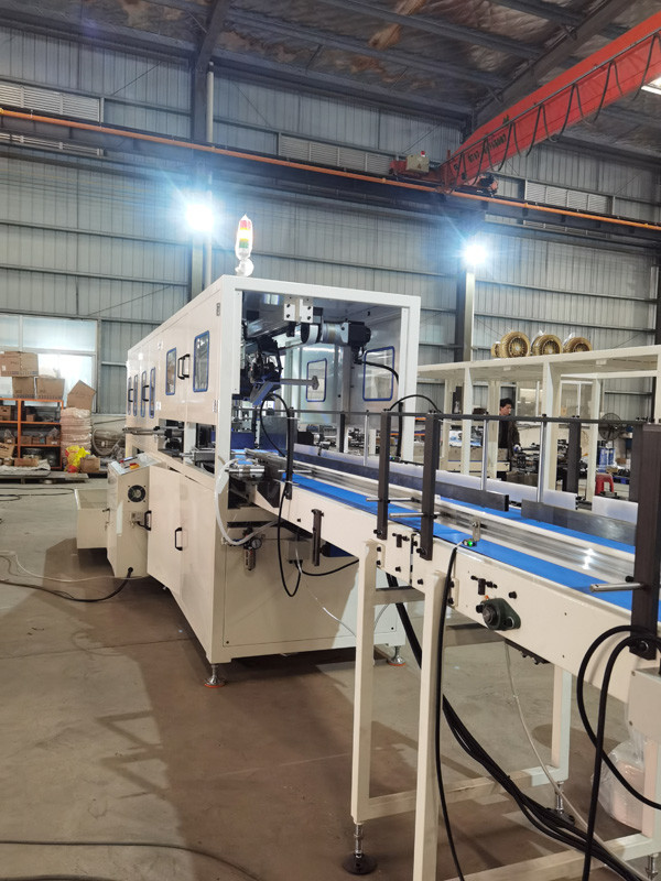 Fully Automatic Maxi Kitchen Towel Paper Bundle Packing Machine