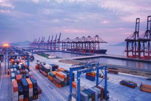 Wholesale DDU DDP FBA FCL Ocean Freight From Shenzhen To Long Beach Los Angels United States from china suppliers