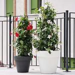 Unique Modern Fiberglass Flower Pots Glossy Finished For Indoor Outdoor Decor