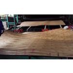 1270MMX640MMX2.6MM Eucalyptus Core Veneer For Building Construction