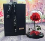 rose gift Factory Wholesale Eternal Beautiful Forever Little Prince Roses