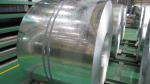 JIS G3141, GB, T 700, Q195, Q235, Q345, SAE 1006, SAE 1008 Cold Rolled Steel