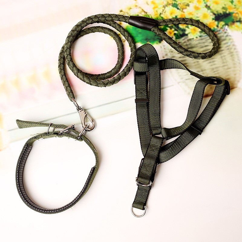 designer dog collar and lead