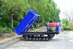 Agricultural Machinery 3.5 Tons Crawler Tipping Truck Light Duty Hydraulic