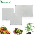 Heat Dissipation 65W 150W Led Grow Light Circuitry Design For Indoor Plant