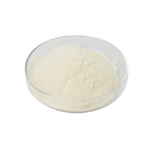 Wholesale Feed Grade Cellulase Powder 10,000 U/G-40,000U/G Balance Intestinal Flora Improve Animal Immunity from china suppliers