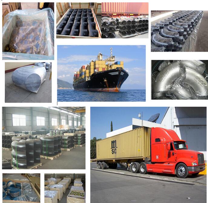 ASTM A234WP12 Stainless Steel Elbow