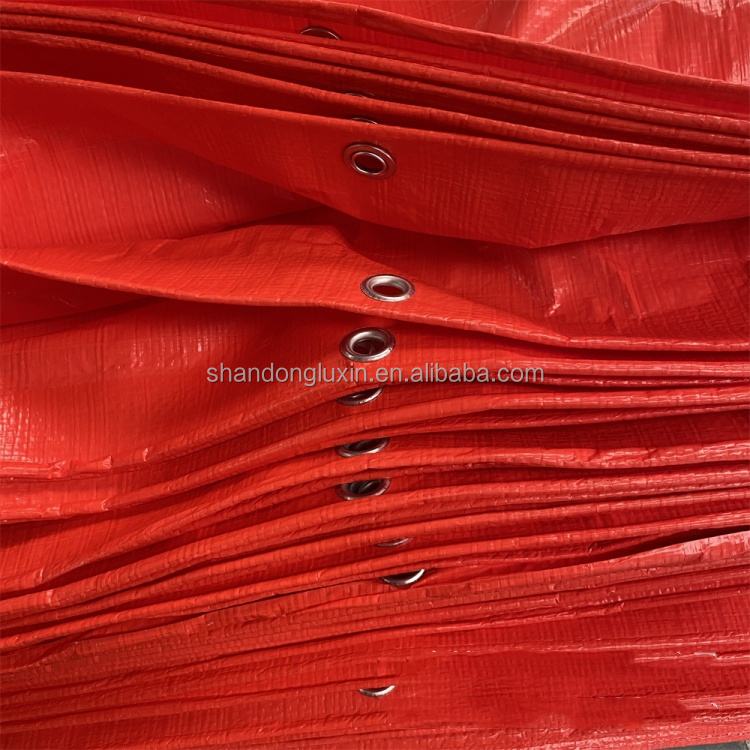Waterproof and Tear Resistant Pe Tarpaulin 20x30 30x50 40x60 Sizes for Multiple Uses