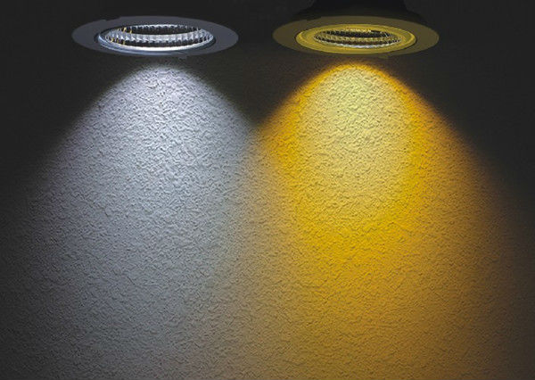 hot sale 3/6/8/12 inch COB LED downlight with CE ROHS DALI