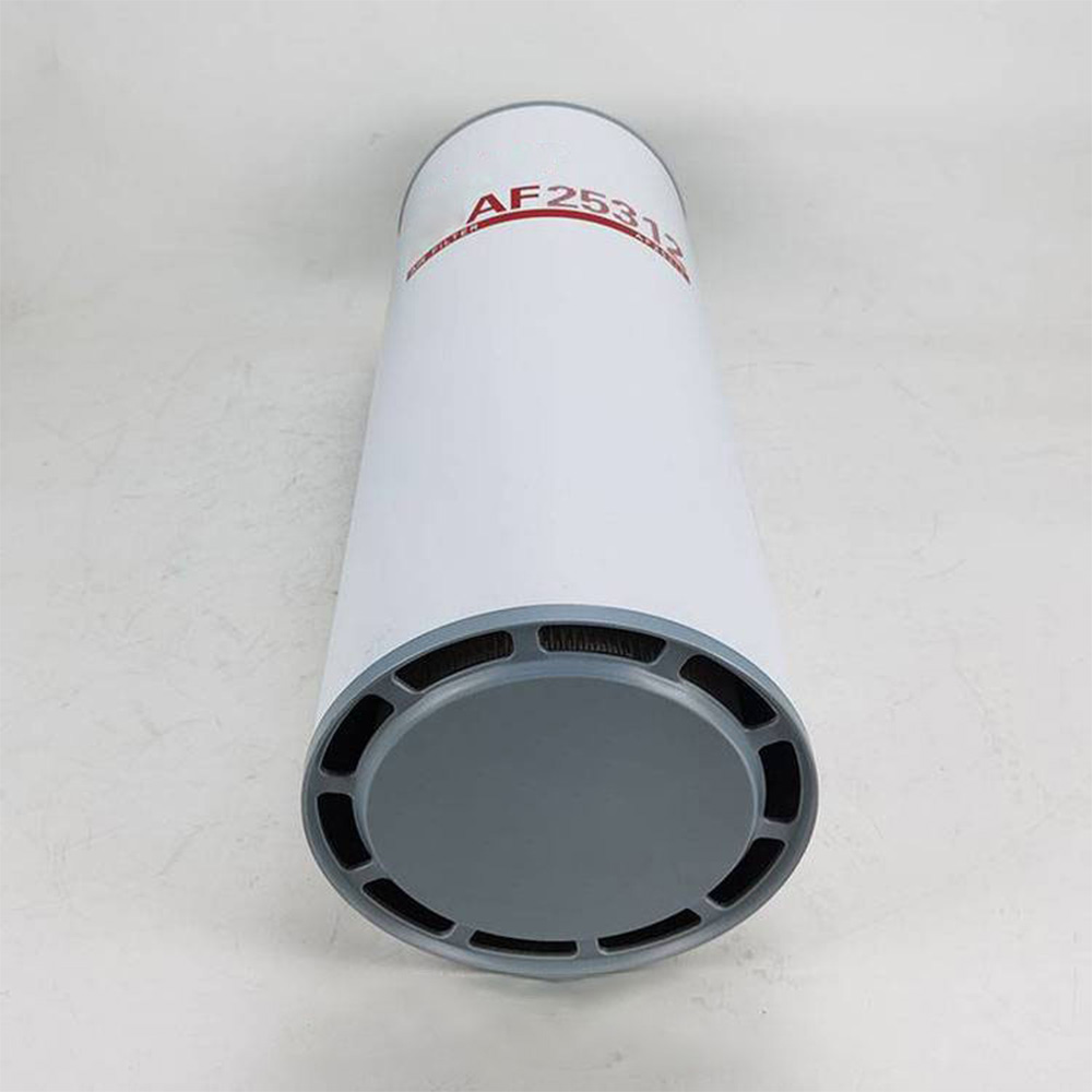 Glass Fiber Core Components Air Filter Element AF25312 with Video Outgoing-Inspection
