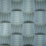 460mm*460mm Size 3D PVC Plastic Wall/Ceiling Panels for Indoor Decoration Many