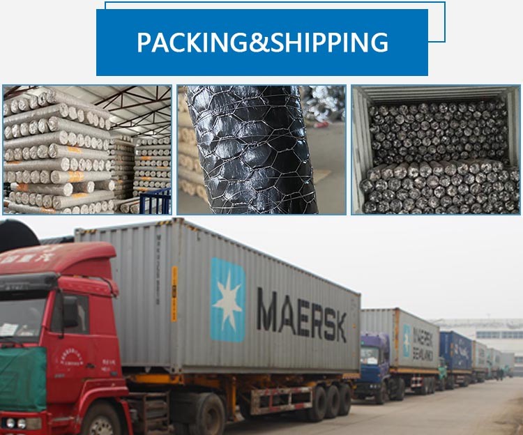 Double Twisted Galvanized Hexagonal Wire Mesh For Poultry Farm