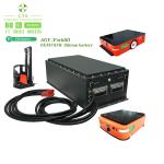 CTS Electric Vehicle ATV AGV Lifepo4 Lithium Ion Battery Pack 24v 48v 80v With