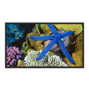 Wholesale Hotel Lobby 50 Inch FCC Wall Mounted Digital Signage from china suppliers