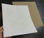 600*900mm Brown Kraft Paper 200gsm 250gsm White Top Kraft Liner Board/WTL